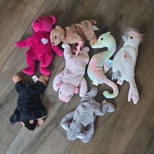 Beanie Babies Collection